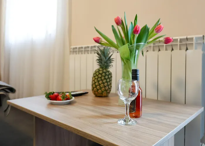 Smestaj Tank, Pancevo * Salasi